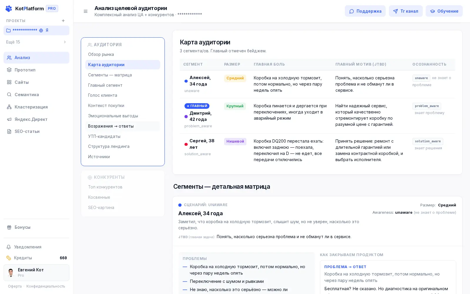 Карта аудитории: сегменты целевой аудитории с мотивом и главной болью в KotPlatform