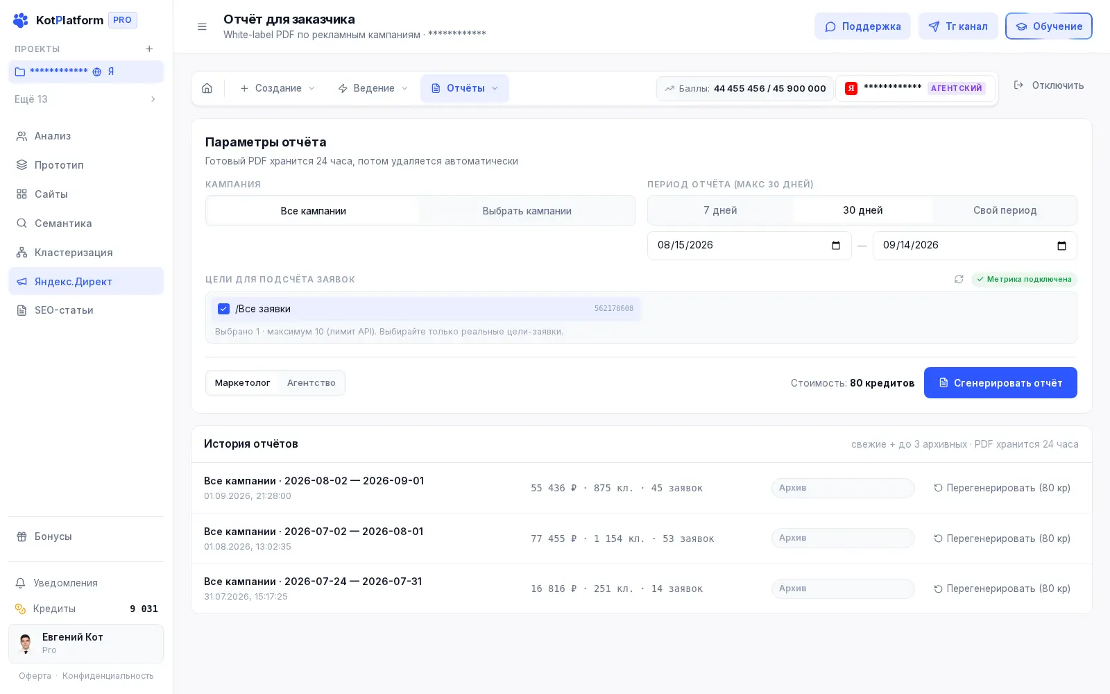 Отчёт по Яндекс Директу в KotPlatform — выбор кампаний, периода и целей Метрики