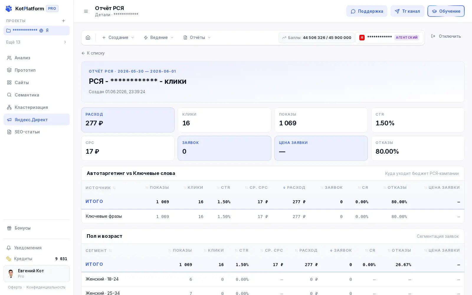 Отчёт по кампании РСЯ в KotPlatform — расход, клики, заявки и автотаргетинг