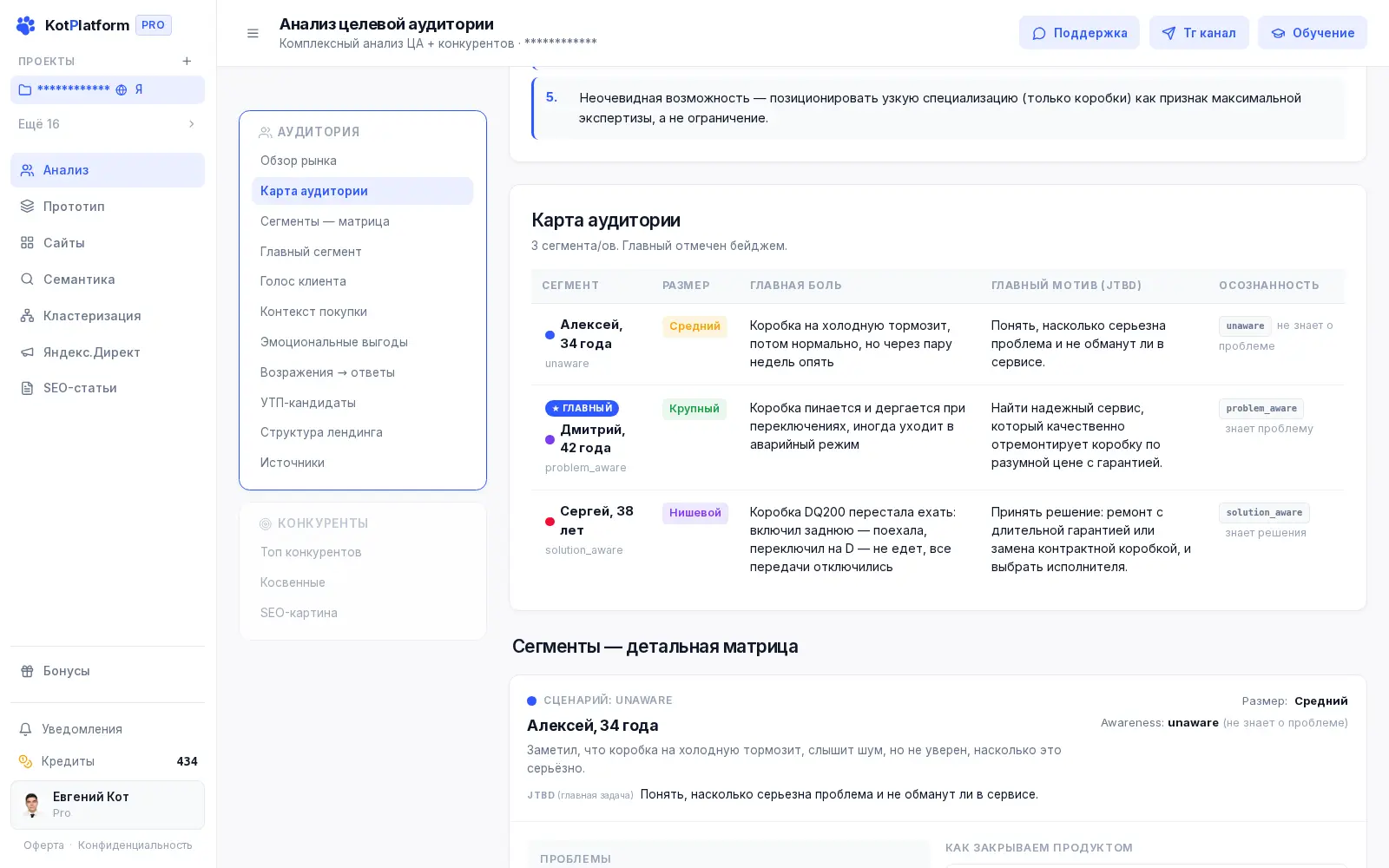 Карта сегментов целевой аудитории в отчёте KotPlatform
